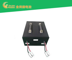 電動車電池批發 好品質源于東莞強力 電動車電池代理